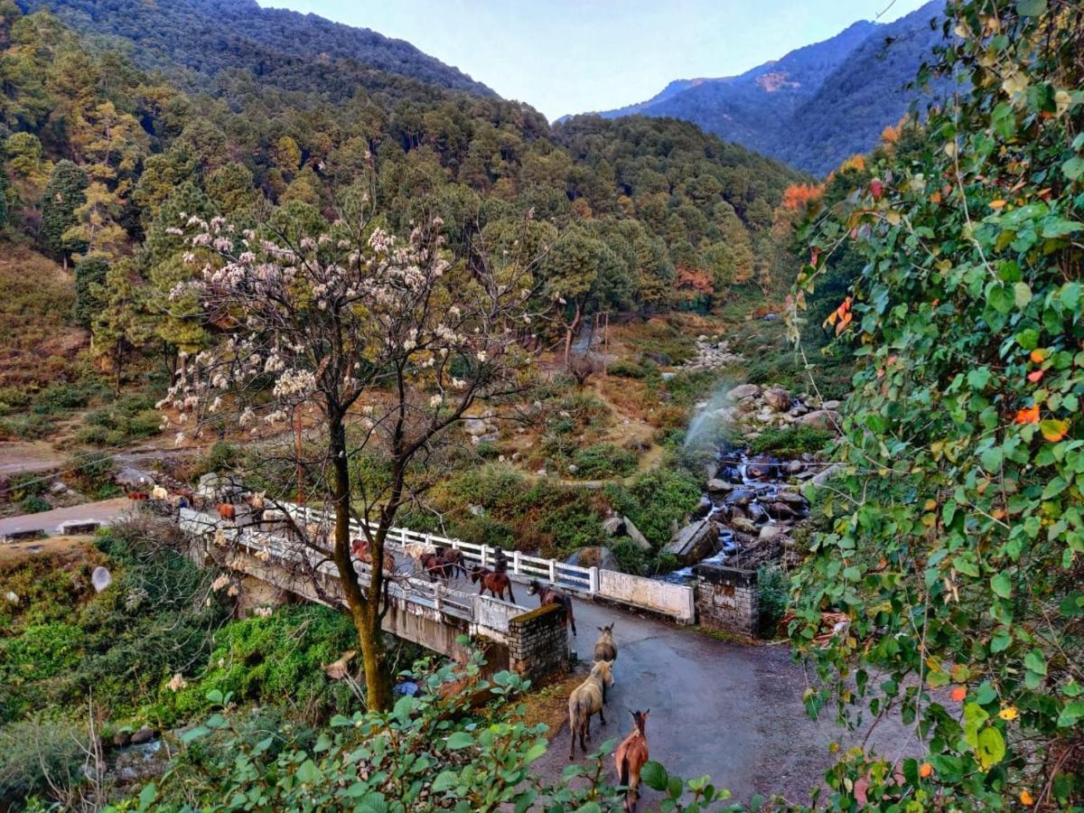 Ostello Monkey Mud House And Camps, Bir Esterno foto